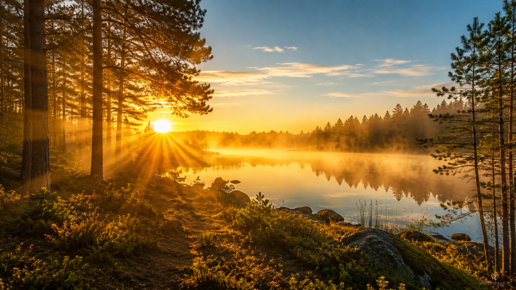 Solens positiva hälsoeffekter